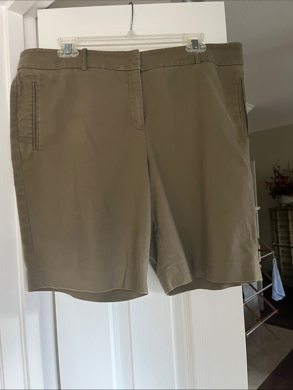 Fabulous Lafayette 148 New York Olive Green Shorts